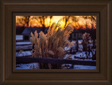 Load image into Gallery viewer, Plate 1 - Sunset Grasses
