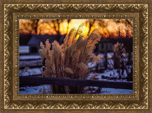 Load image into Gallery viewer, Plate 1 - Sunset Grasses
