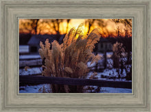 Load image into Gallery viewer, Plate 1 - Sunset Grasses
