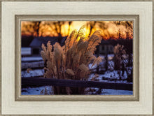 Load image into Gallery viewer, Plate 1 - Sunset Grasses
