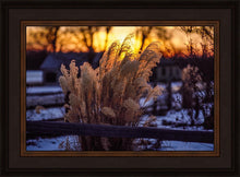 Load image into Gallery viewer, Plate 1 - Sunset Grasses
