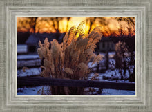Load image into Gallery viewer, Plate 1 - Sunset Grasses
