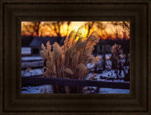 Load image into Gallery viewer, Plate 1 - Sunset Grasses
