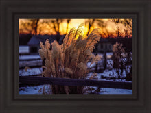 Load image into Gallery viewer, Plate 1 - Sunset Grasses
