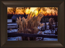 Load image into Gallery viewer, Plate 1 - Sunset Grasses
