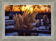 Load image into Gallery viewer, Plate 1 - Sunset Grasses
