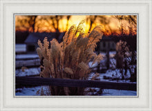 Load image into Gallery viewer, Plate 1 - Sunset Grasses

