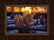 Load image into Gallery viewer, Plate 1 - Sunset Grasses
