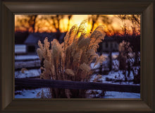 Load image into Gallery viewer, Plate 1 - Sunset Grasses
