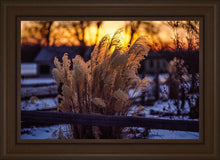 Load image into Gallery viewer, Plate 1 - Sunset Grasses

