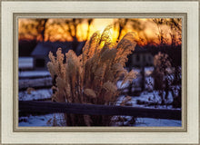 Load image into Gallery viewer, Plate 1 - Sunset Grasses
