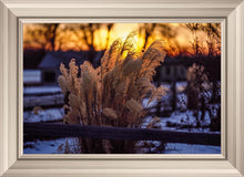 Load image into Gallery viewer, Plate 1 - Sunset Grasses
