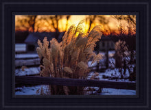 Load image into Gallery viewer, Plate 1 - Sunset Grasses
