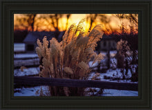 Load image into Gallery viewer, Plate 1 - Sunset Grasses
