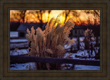 Load image into Gallery viewer, Plate 1 - Sunset Grasses
