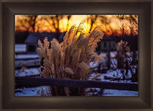 Load image into Gallery viewer, Plate 1 - Sunset Grasses
