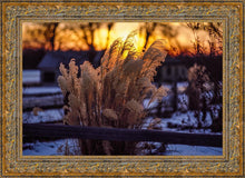 Load image into Gallery viewer, Plate 1 - Sunset Grasses
