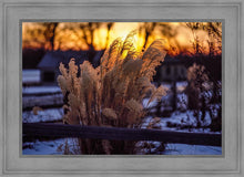 Load image into Gallery viewer, Plate 1 - Sunset Grasses
