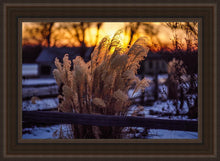 Load image into Gallery viewer, Plate 1 - Sunset Grasses
