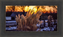 Load image into Gallery viewer, Plate 1 - Sunset Grasses
