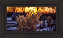 Load image into Gallery viewer, Plate 1 - Sunset Grasses
