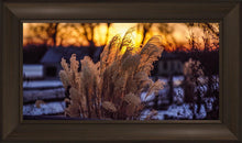 Load image into Gallery viewer, Plate 1 - Sunset Grasses
