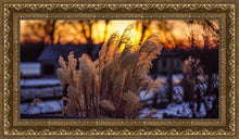 Load image into Gallery viewer, Plate 1 - Sunset Grasses
