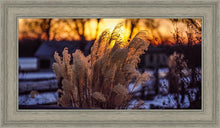Load image into Gallery viewer, Plate 1 - Sunset Grasses
