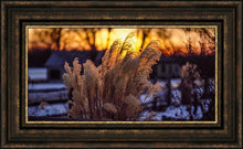 Load image into Gallery viewer, Plate 1 - Sunset Grasses
