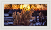 Load image into Gallery viewer, Plate 1 - Sunset Grasses
