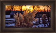 Load image into Gallery viewer, Plate 1 - Sunset Grasses

