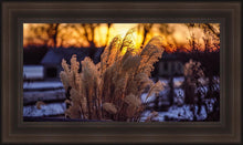 Load image into Gallery viewer, Plate 1 - Sunset Grasses
