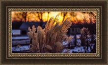 Load image into Gallery viewer, Plate 1 - Sunset Grasses
