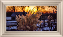 Load image into Gallery viewer, Plate 1 - Sunset Grasses
