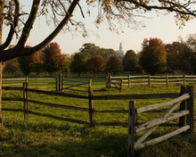 Load image into Gallery viewer, Plate 6 - The Gates are Open
