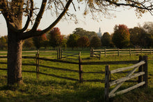 Load image into Gallery viewer, Plate 6 - The Gates are Open
