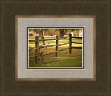 Load image into Gallery viewer, Plate 5 - Vintage Garden Cultivator
