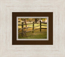 Load image into Gallery viewer, Plate 5 - Vintage Garden Cultivator
