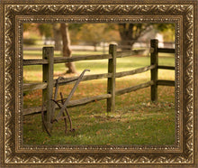 Load image into Gallery viewer, Plate 5 - Vintage Garden Cultivator
