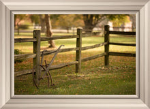 Load image into Gallery viewer, Plate 5 - Vintage Garden Cultivator
