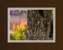 Load image into Gallery viewer, Plate 11 - Gethsemane Impression
