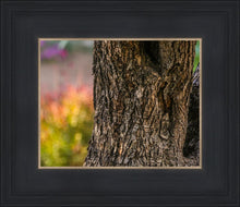 Load image into Gallery viewer, Plate 11 - Gethsemane Impression
