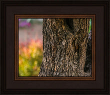 Load image into Gallery viewer, Plate 11 - Gethsemane Impression
