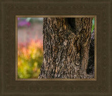 Load image into Gallery viewer, Plate 11 - Gethsemane Impression
