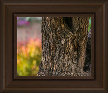 Load image into Gallery viewer, Plate 11 - Gethsemane Impression
