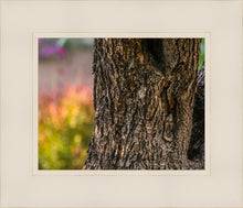 Load image into Gallery viewer, Plate 11 - Gethsemane Impression
