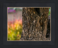 Load image into Gallery viewer, Plate 11 - Gethsemane Impression
