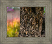 Load image into Gallery viewer, Plate 11 - Gethsemane Impression
