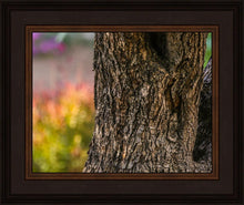 Load image into Gallery viewer, Plate 11 - Gethsemane Impression
