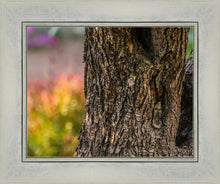 Load image into Gallery viewer, Plate 11 - Gethsemane Impression
